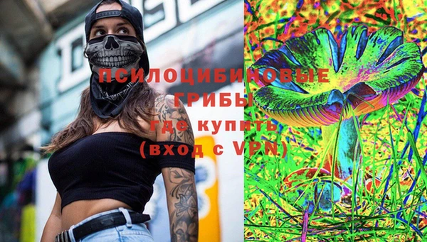 мяу мяу мука Белокуриха