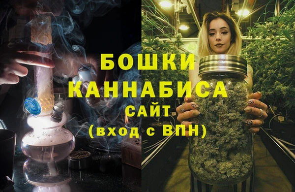 сатива Богородицк