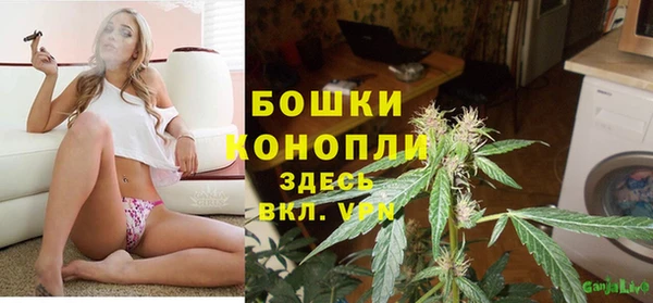 стаф Беломорск