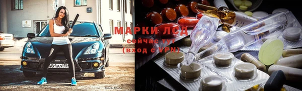 стаф Беломорск
