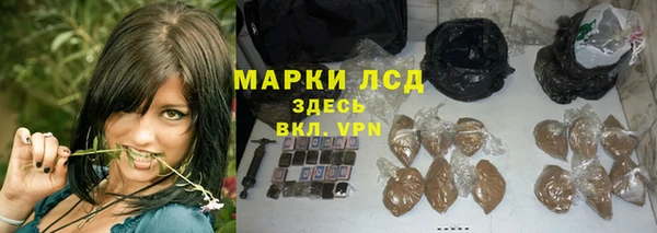 мяу мяу мука Белокуриха