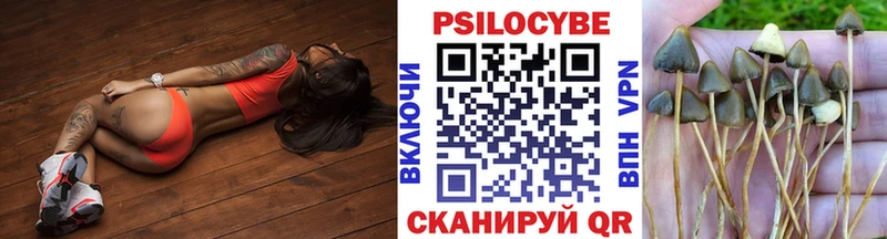 Галлюциногенные грибы мицелий  Высоцк 
