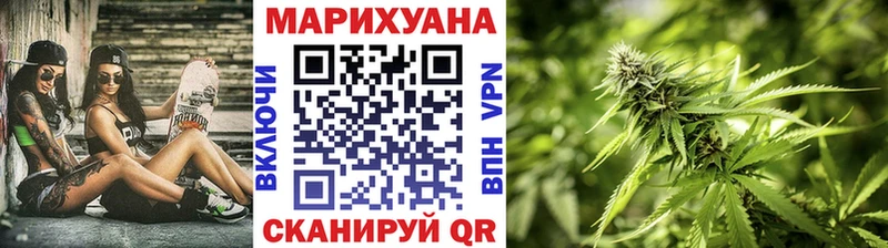 Каннабис план  Высоцк 